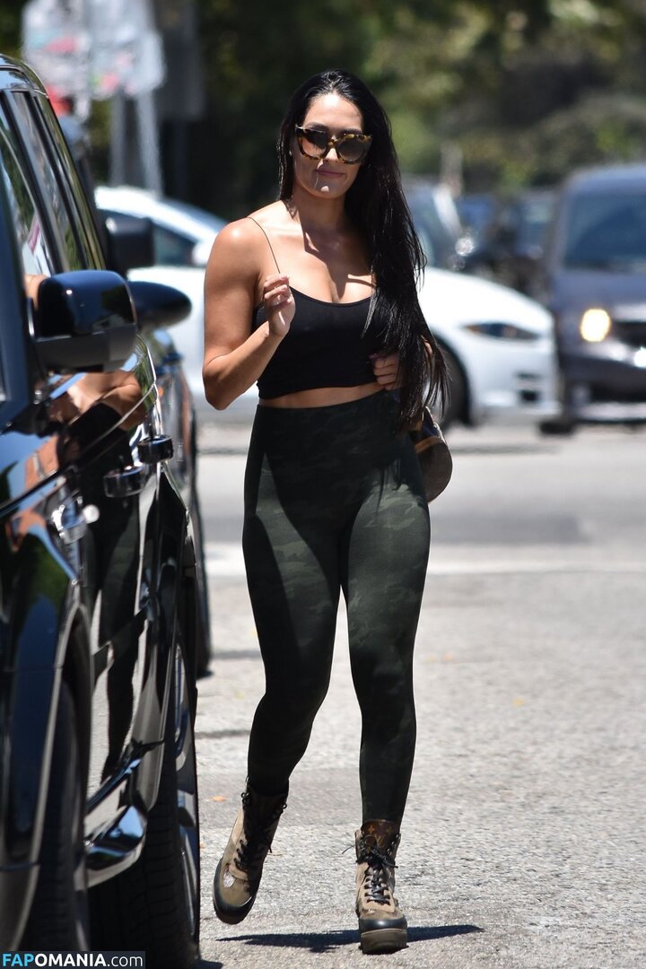Nikki Bella & Brie Bella / The Bella Twins / thenikkibella Γυμνός OnlyFans  Διαρρεύσαστη φωτογραφία #409