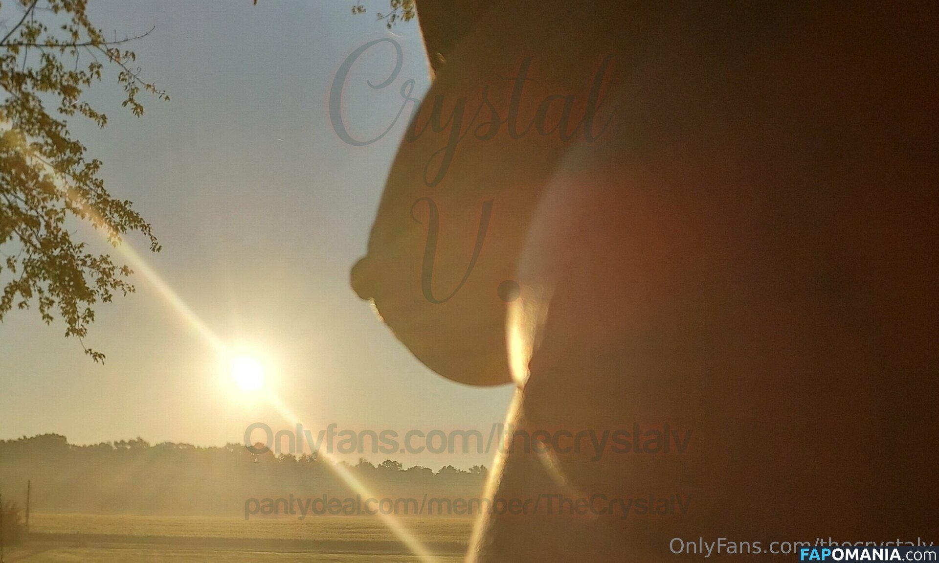 crystallv / thecrystalv Γυμνός OnlyFans  Διαρρεύσαστη φωτογραφία #11