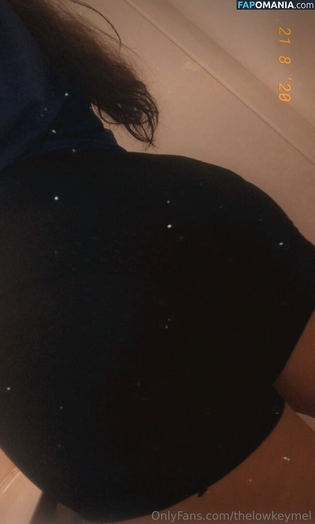 TheLowkeyMel / theofficiallmel Γυμνός OnlyFans  Διαρρεύσαστη φωτογραφία #7
