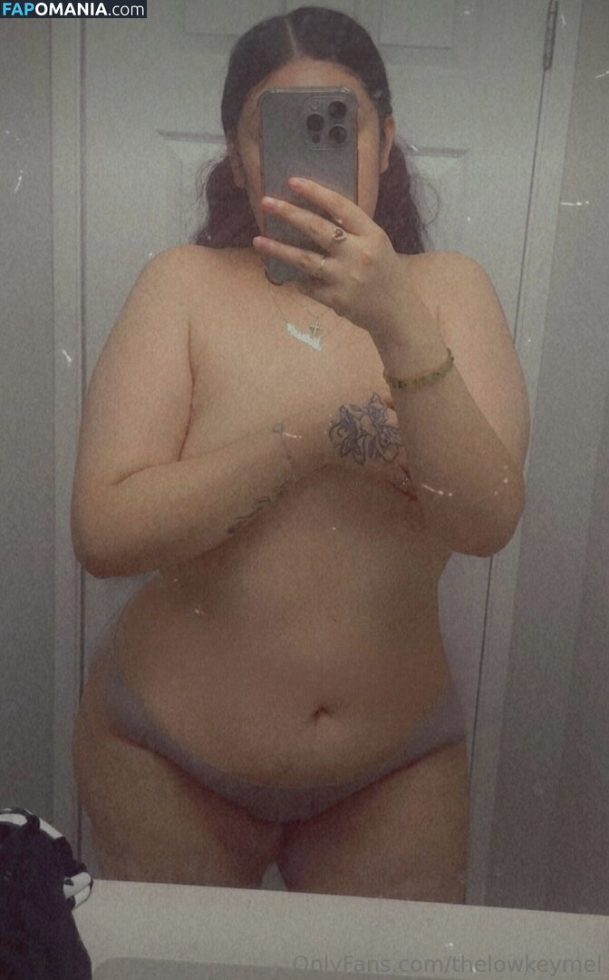 TheLowkeyMel / theofficiallmel Γυμνός OnlyFans  Διαρρεύσαστη φωτογραφία #12