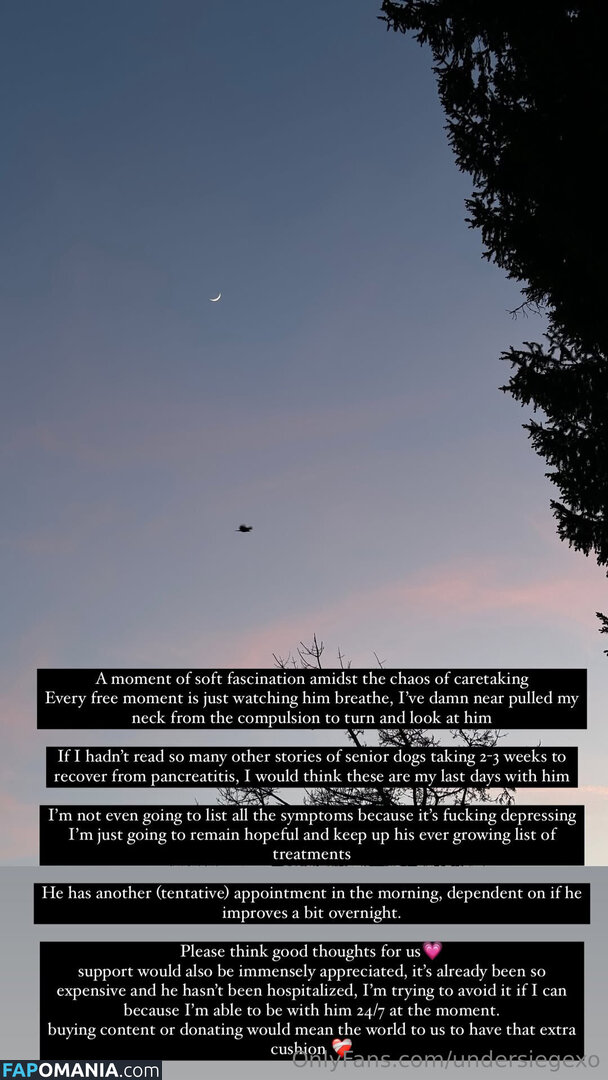 undersiegexo Γυμνός OnlyFans  Διαρρεύσαστη φωτογραφία #1