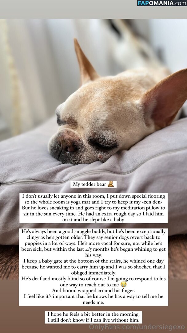 undersiegexo Γυμνός OnlyFans  Διαρρεύσαστη φωτογραφία #2