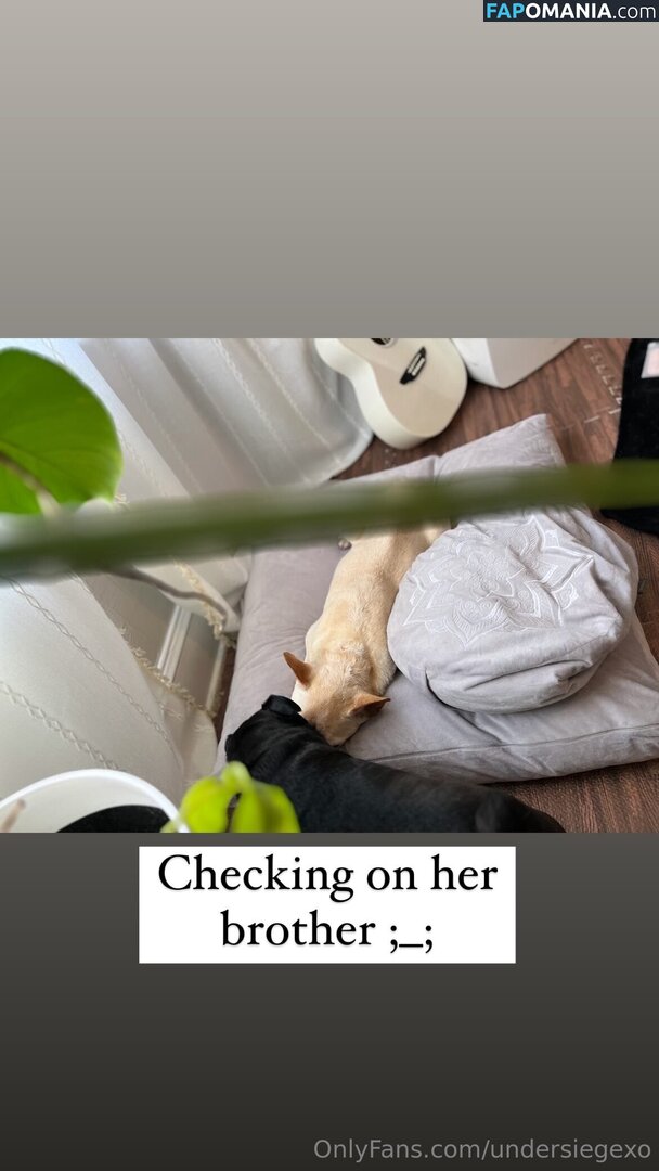 undersiegexo Γυμνός OnlyFans  Διαρρεύσαστη φωτογραφία #3