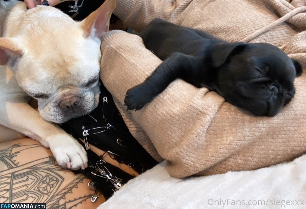 undersiegexo Γυμνός OnlyFans  Διαρρεύσαστη φωτογραφία #8