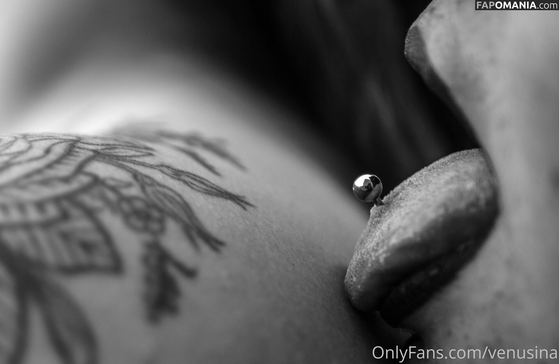 venusina Γυμνός OnlyFans  Διαρρεύσαστη φωτογραφία #4