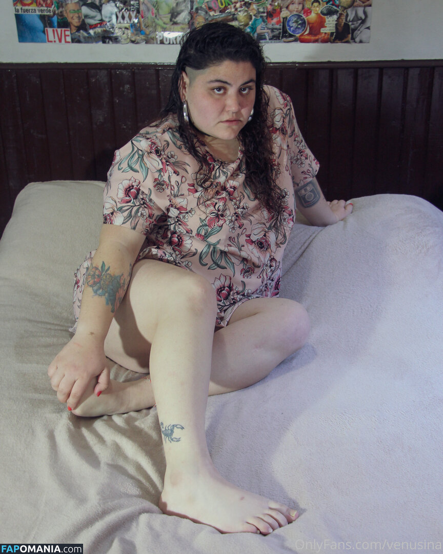 venusina Γυμνός OnlyFans  Διαρρεύσαστη φωτογραφία #9