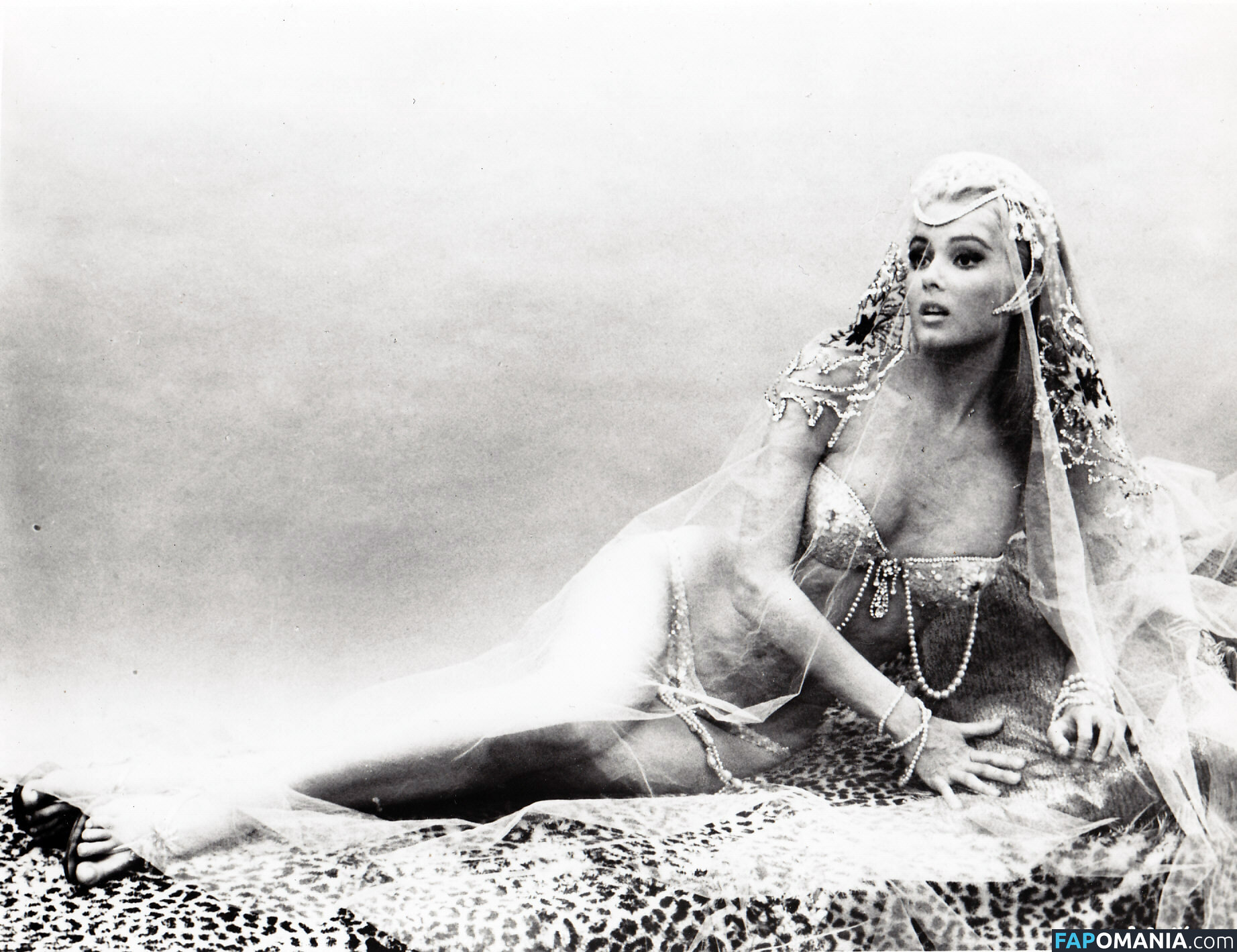 Vintage Starlets Γυμνός OnlyFans  Διαρρεύσαστη φωτογραφία #543