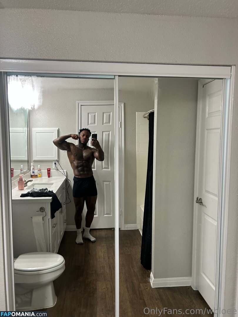 wb_loe / wbloee Γυμνός OnlyFans  Διαρρεύσαστη φωτογραφία #1