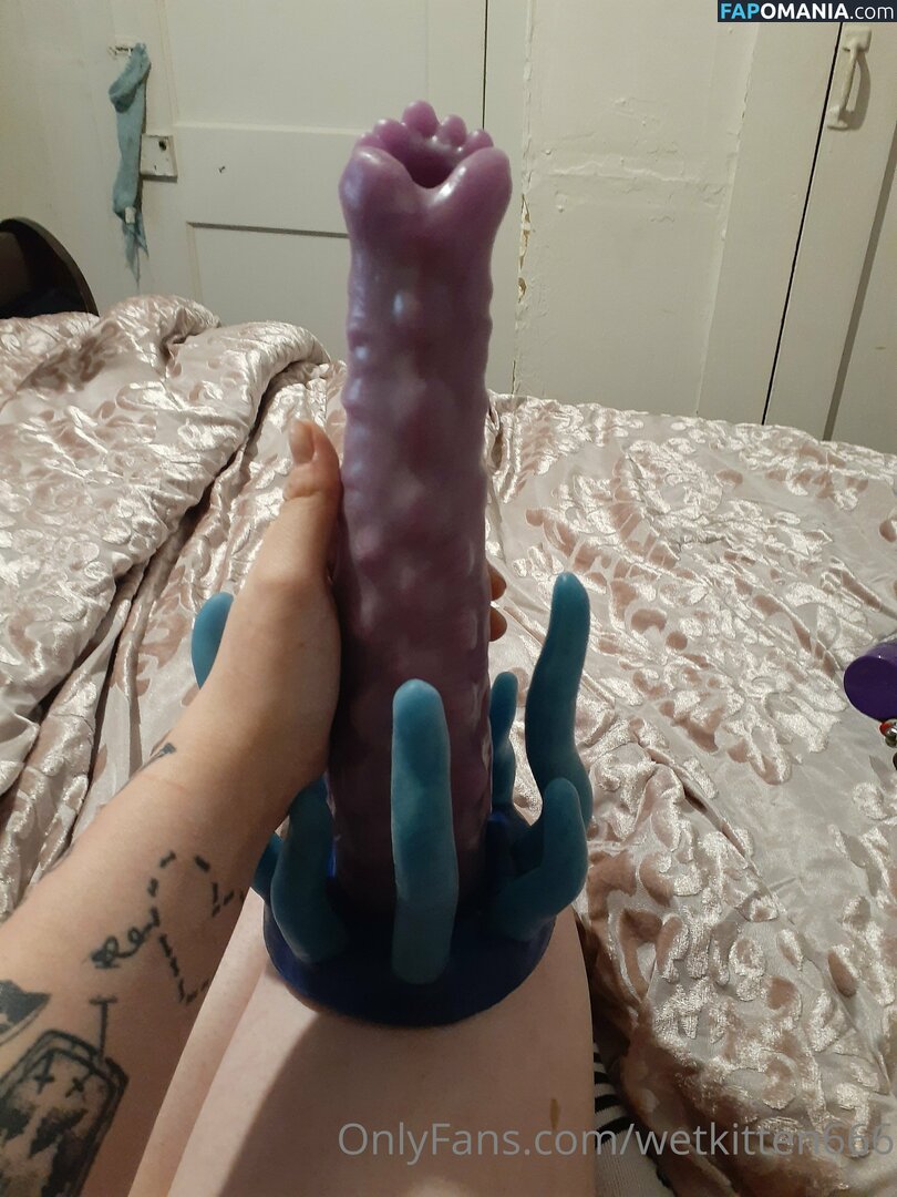 kitty.valentine.92372 / wetkitten666 Γυμνός OnlyFans  Διαρρεύσαστη φωτογραφία #13