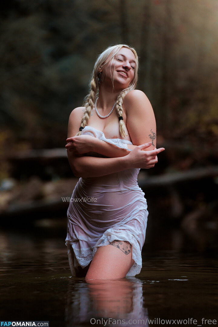 willowxwolfe / willowxwolfe_free Γυμνός OnlyFans  Διαρρεύσαστη φωτογραφία #7