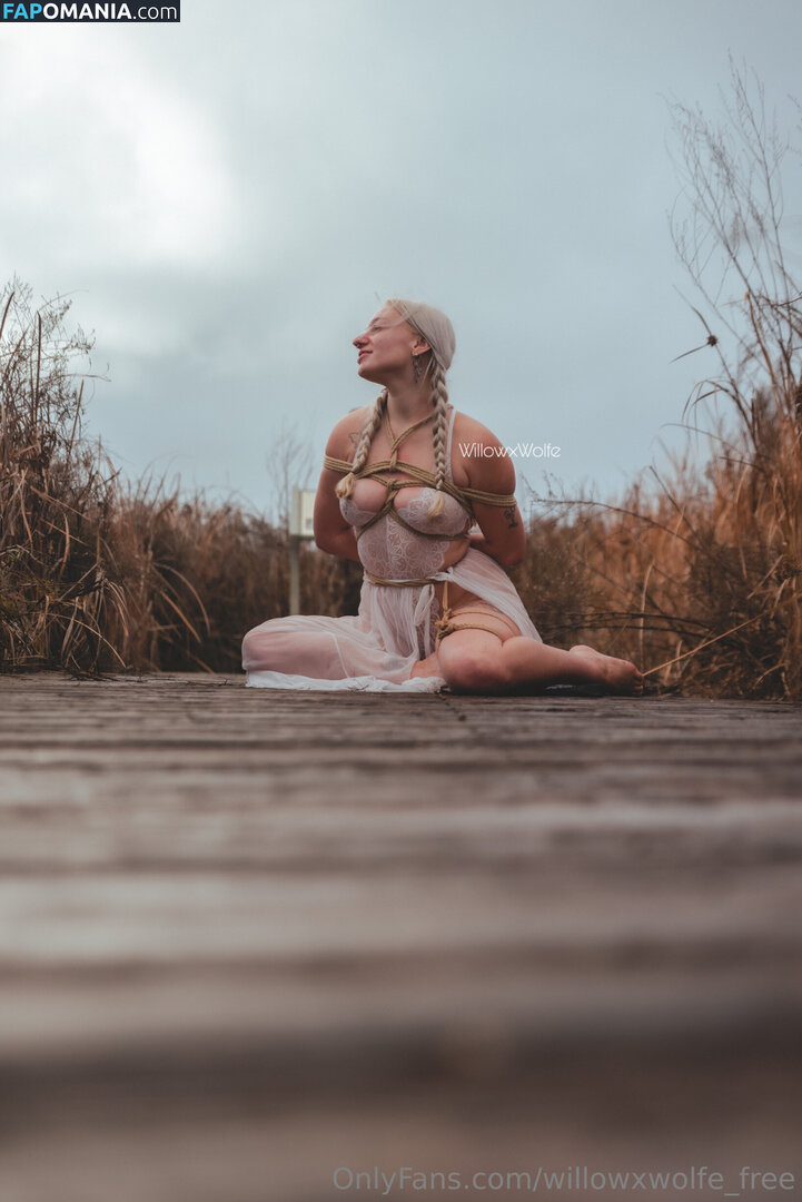 willowxwolfe / willowxwolfe_free Γυμνός OnlyFans  Διαρρεύσαστη φωτογραφία #11