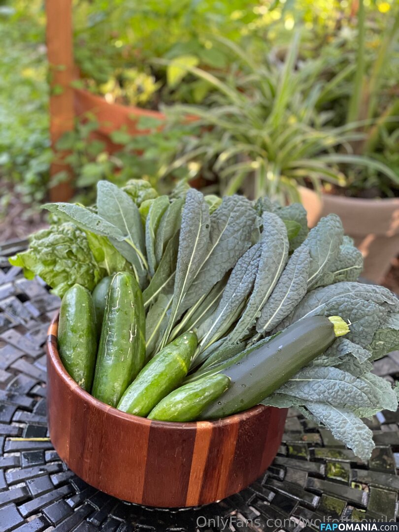 wolfofthewild / wolfofthewildd Γυμνός OnlyFans  Διαρρεύσαστη φωτογραφία #10