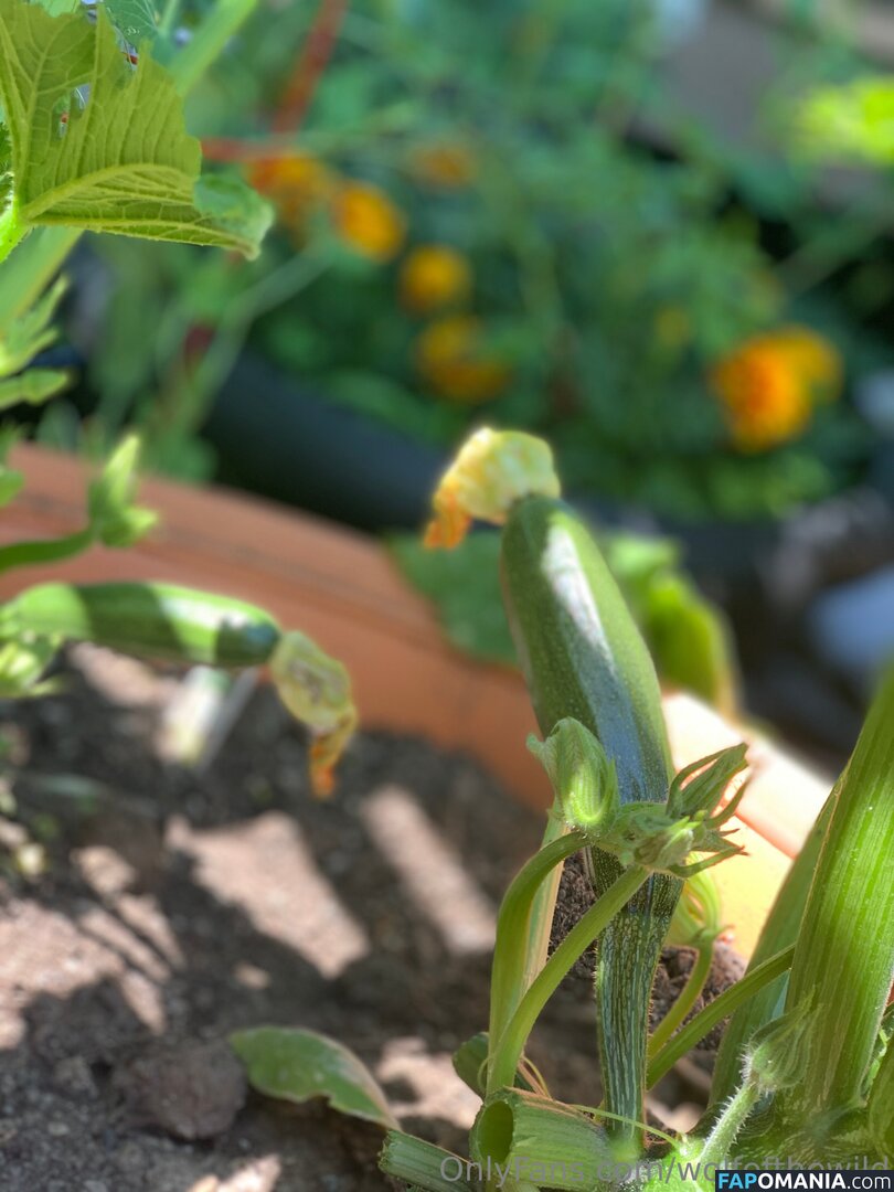 wolfofthewild / wolfofthewildd Γυμνός OnlyFans  Διαρρεύσαστη φωτογραφία #13