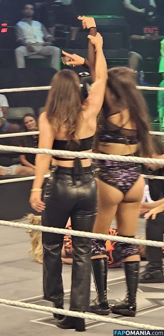 Madi Wrenkowski / Wren Sinclair / wrensinclairwwe Γυμνός OnlyFans  Διαρρεύσαστη φωτογραφία #10