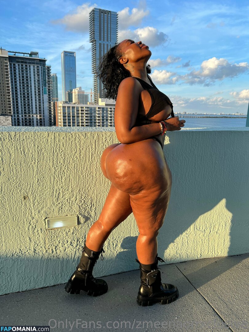 zmeenaorr / zmeenaorrxclusive Γυμνός OnlyFans  Διαρρεύσαστη φωτογραφία #12