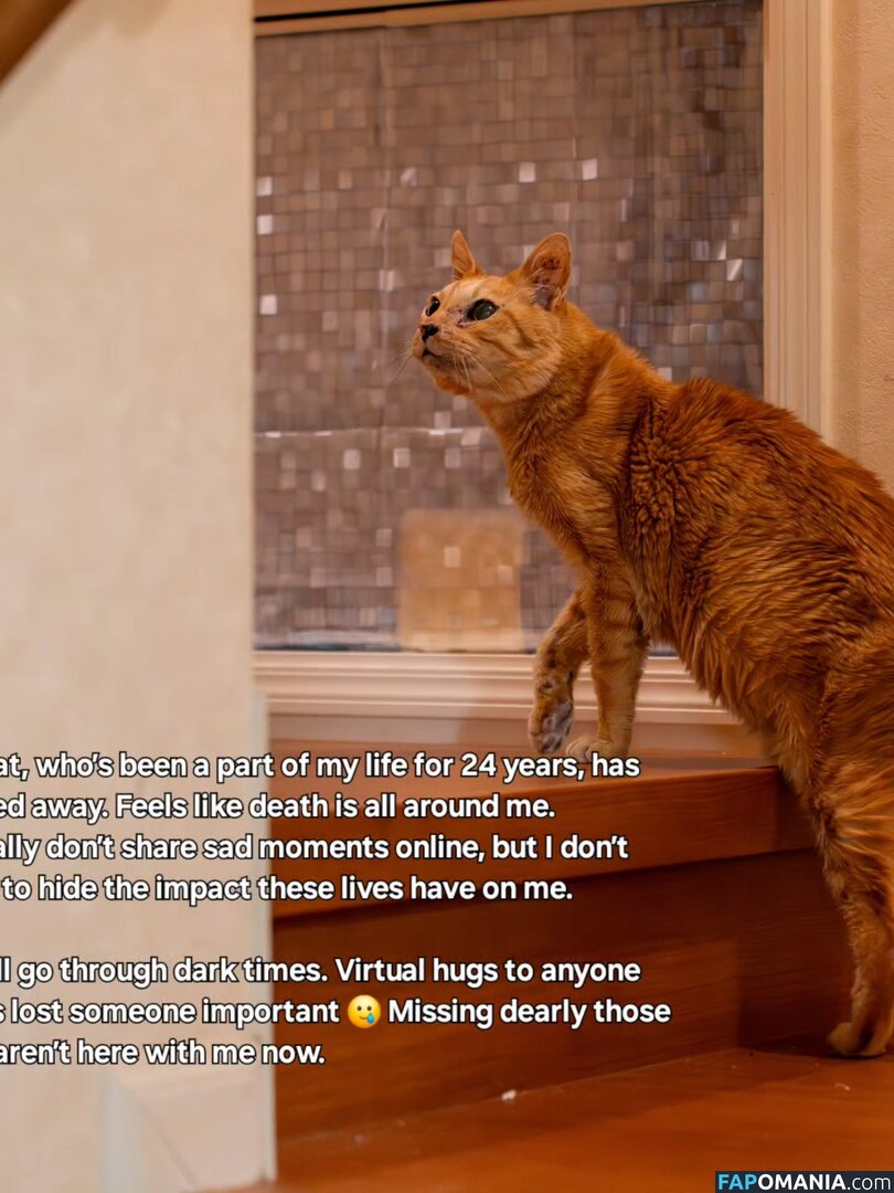 Zumi / zestyzumi Γυμνός OnlyFans  Διαρρεύσαστη φωτογραφία #120